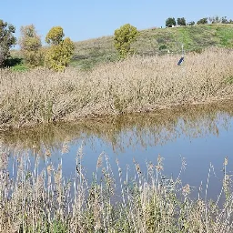 שמורת טבע מעיינות גיבתון