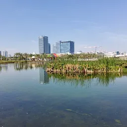 פארק פתח תקווה והאגם האקולוגי